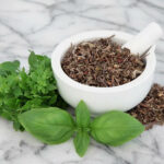 Tulsi aka Holy Basil ( Ocimum teniuiflorum )